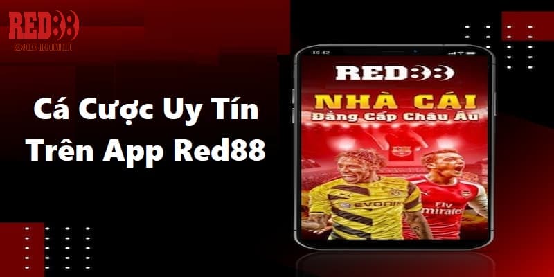 Cập nhật nhanh & chính xác trên ứng dụng Red88 