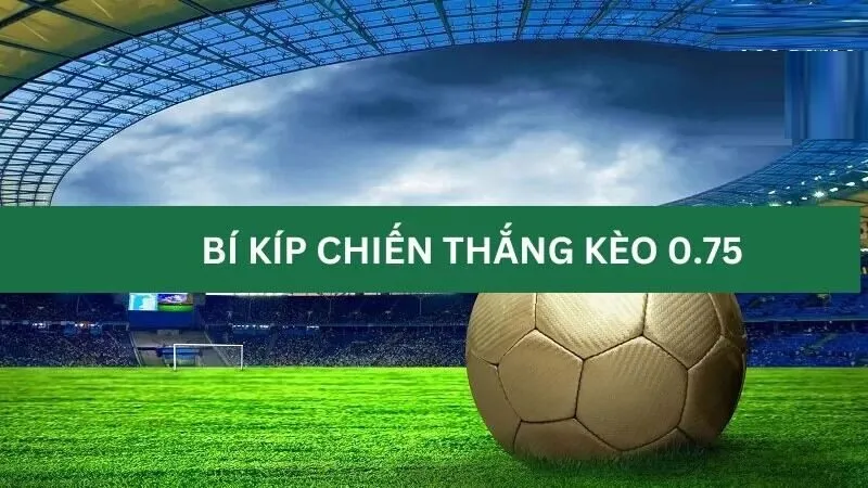 Bật mí kinh nghiệm chơi kèo chấp nửa một thắng nhanh